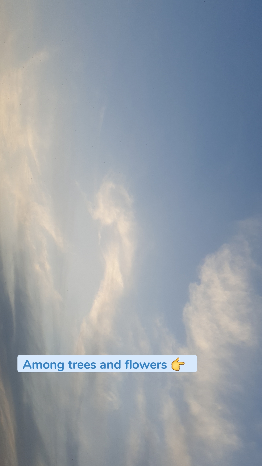 Among trees and flowers 👉  