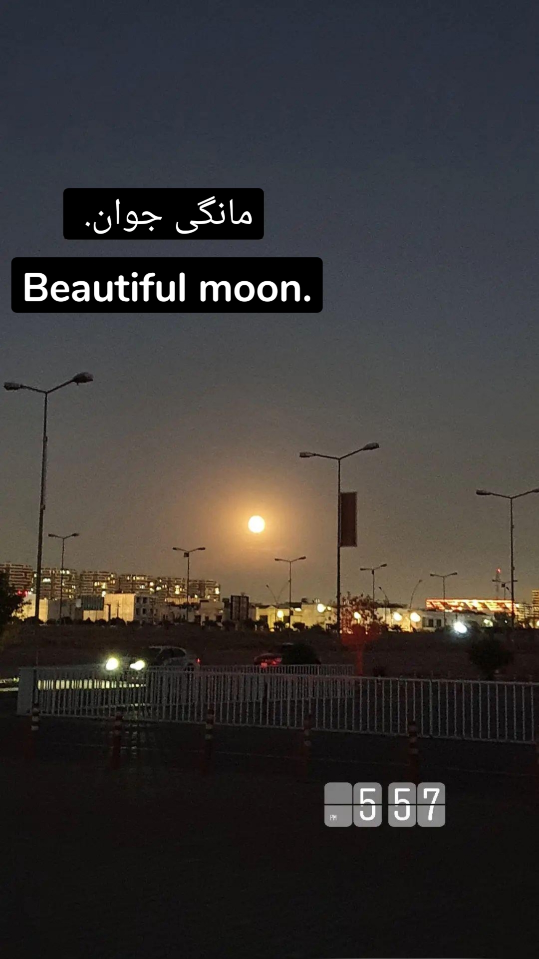 مانگی جوان.  Beautiful moon.
